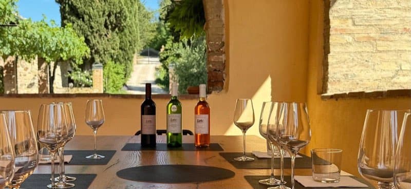Wine tasting at Fonte Martino