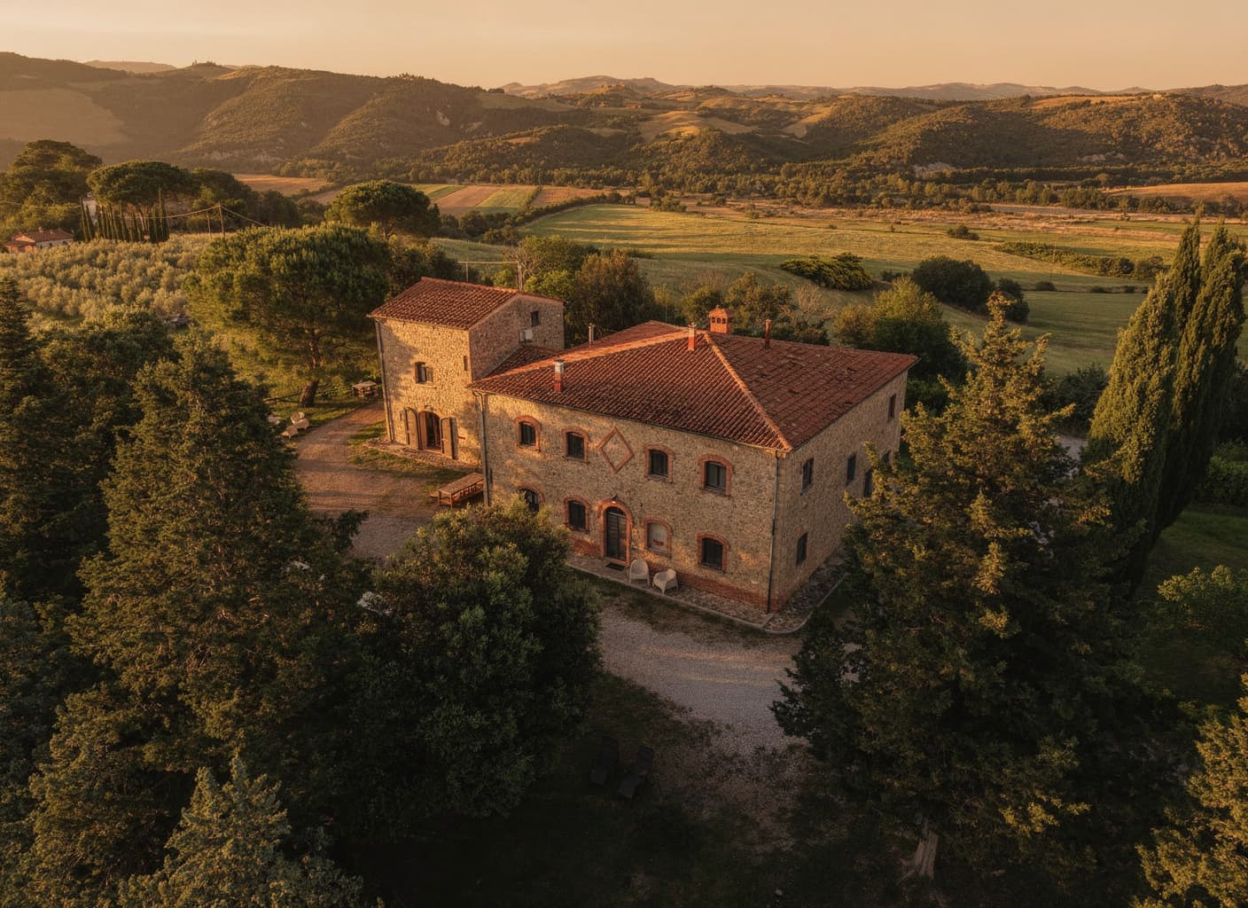 Olive groves and rolling hills at Podere Sant'Elisa